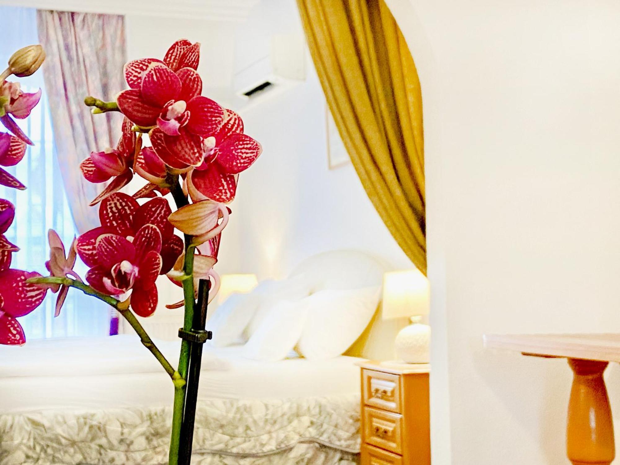 גיור Hotel Wesselenyi מראה חיצוני תמונה